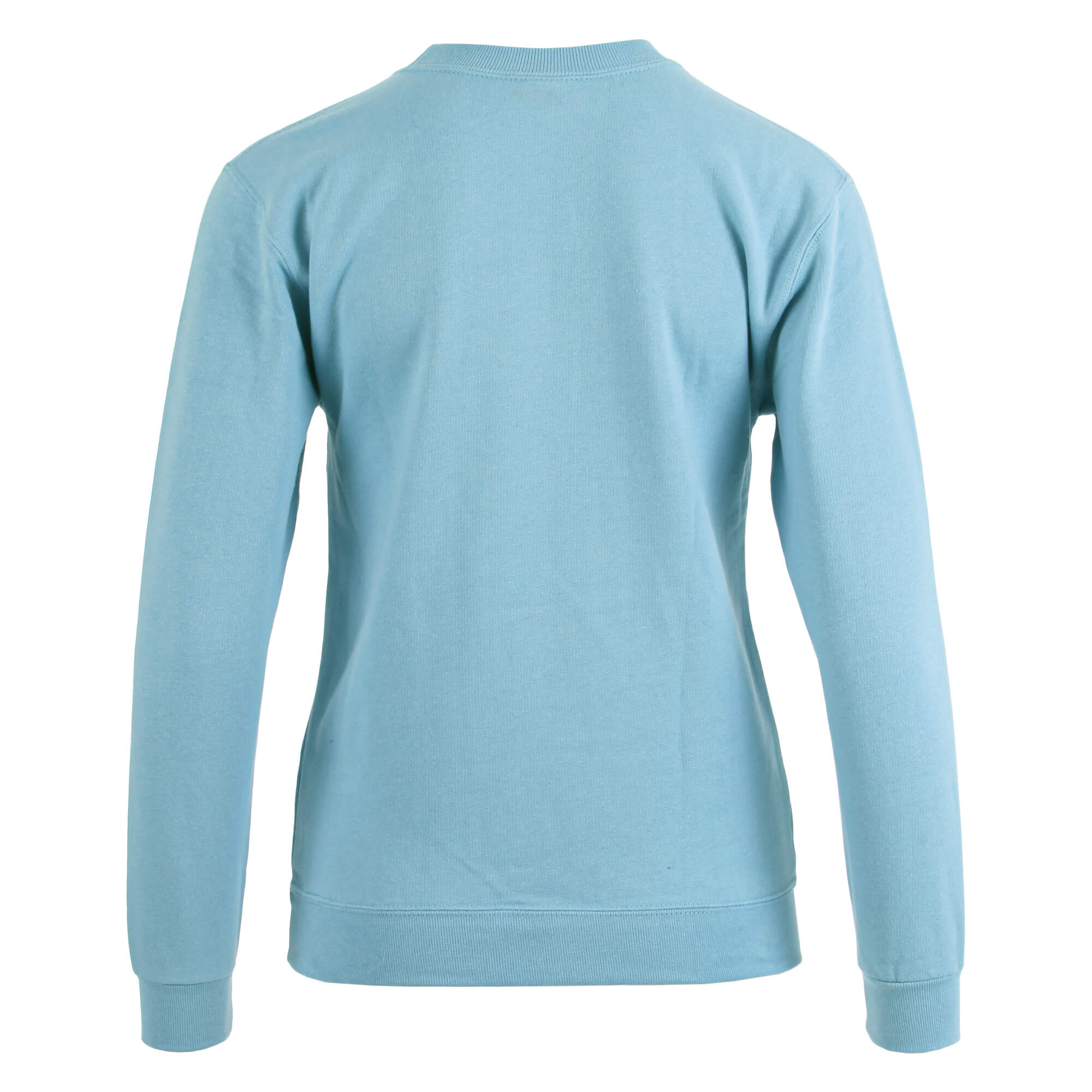 Sweater Baasje lichtblauw achterkant