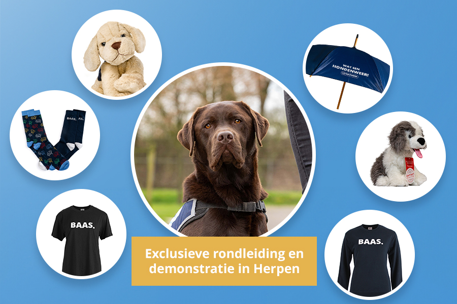 De Week van de Schooiers prijzen