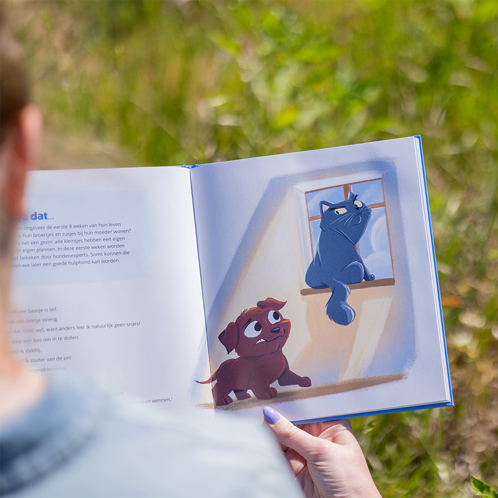 Bruno heeft een baan lezen in de buitenlucht